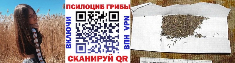 Купить  Арзамас  Галлюциногенные грибы Psilocybine cubensis 